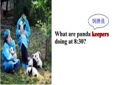 人教新目标（Go for it)版英语八年级下册 Unit 7 what's the highest mountain in the word Reading阅读课（课件）