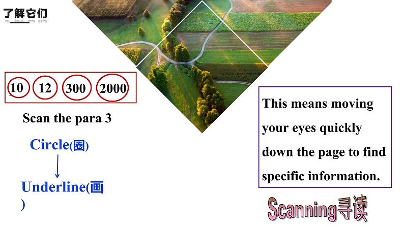 人教新目标（Go for it)版英语八年级下册 Unit 7 what 's the highest mountain in the word Reading阅读课（课件）第8页