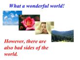人教新目标（Go for it)版英语八年级下册 Unit 7 what's the highest mountain in the word Whale Protection---writing（课件）