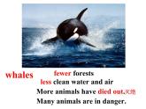 人教新目标（Go for it)版英语八年级下册 Unit 7 what's the highest mountain in the word Whale Protection---writing（课件）