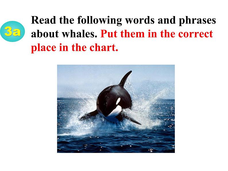 人教新目标（Go for it)版英语八年级下册 Unit 7 what 's the highest mountain in the word Whale Protection---writing（课件）第7页