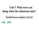 人教新目标八年级英语下册--Unit5 SectionA(3a-3c)教学课件