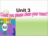 人教新目标（Go for it)版英语八年级下册 Unit 3 Could you please clean your room (2)（课件 ）