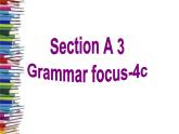 人教新目标（Go for it)版英语八年级下册 Unit3 Grammar focus 4a-4c（课件 ）