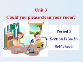 人教新目标（Go for it)版英语八年级下册 Unit 3 Could you please clean your room (12)（课件 ）