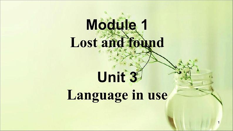 外研版英语七年级下册 Module 1 Unit 3 Language in use (2) 课件01