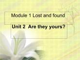 外研版英语七年级下册 Module 1 Unit 2 Are they yours (3) 课件