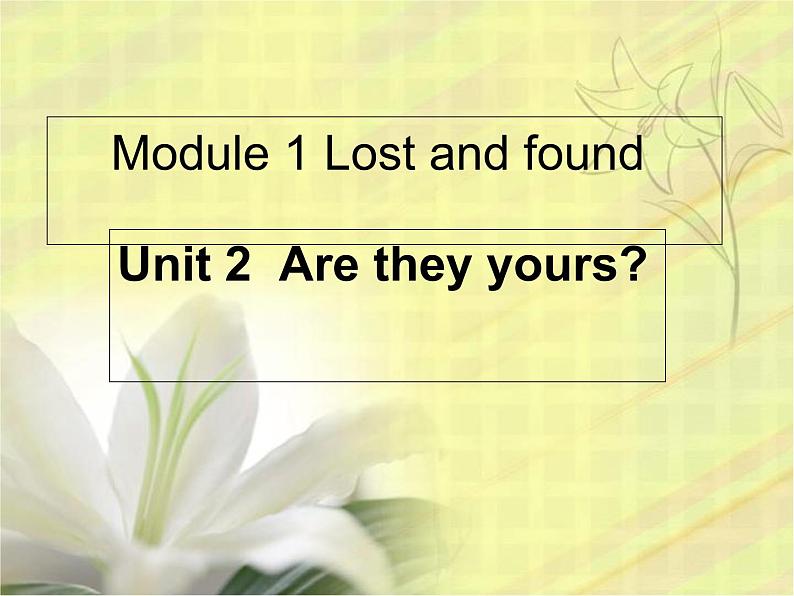 外研版英语七年级下册 Module 1 Unit 2 Are they yours (3) 课件01