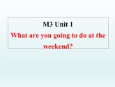 外研版英语七年级下册 Module 3 Unit 1 What are you going to do at the weekend 课件