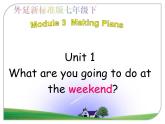 外研版英语七年级下册 Module 3 Unit 1 What are you going to do at the weekend？ (7) 课件