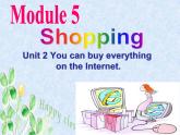 外研版英语七年级下册 Module5Unit 2 You can buy everything on the Internet. 课件