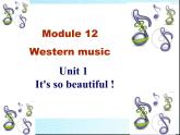 外研版英语七年级下册 Module 12 Unit 2 Vienna is the centre of European classical music. (8) 课件