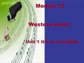 外研版英语七年级下册 Module 12 Unit 2 Vienna is the centre of European classical music. (3) 课件