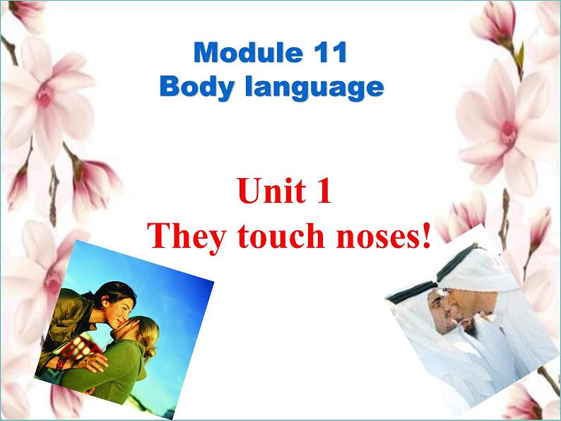 外研版英语七年级下册 Module 11 Unit 1 They touch noses (3) 课件第8页