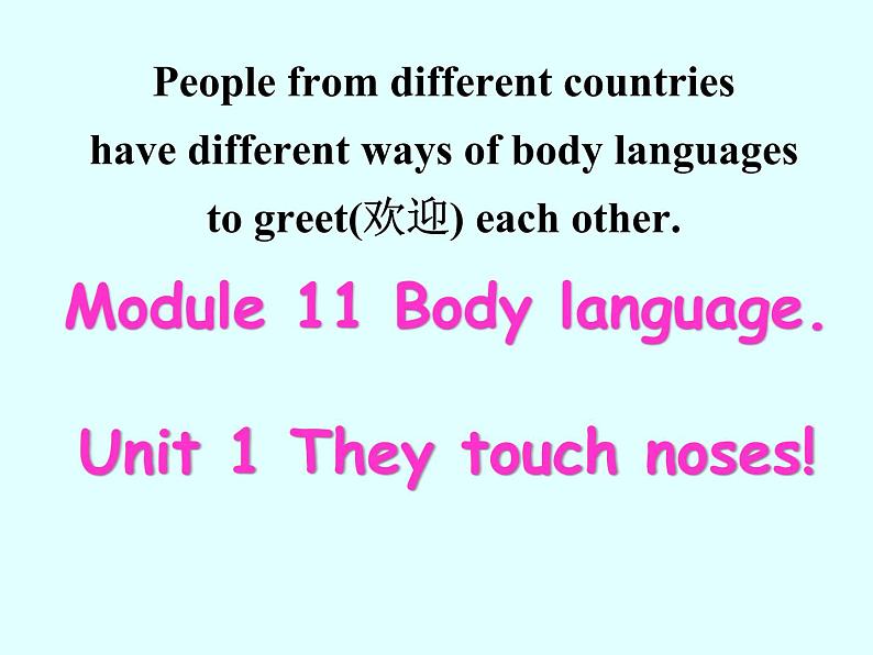 外研版英语七年级下册 Module 11 Unit 1 They touch noses (5) 课件第8页