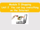 外研版英语七年级下册 Module5Unit 2 You can buy everything on the Internet. 课件