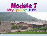 外研版英语七年级下册 Module 7 My past life 课件