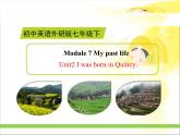 外研版英语七年级下册 Module 7 My past life (2) 课件