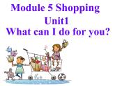 外研版英语七年级下册 Module 5 unit 1 What can I do for you (2) 课件