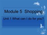 外研版英语七年级下册 Module5 Unit 1 What can I do for you (3) 课件