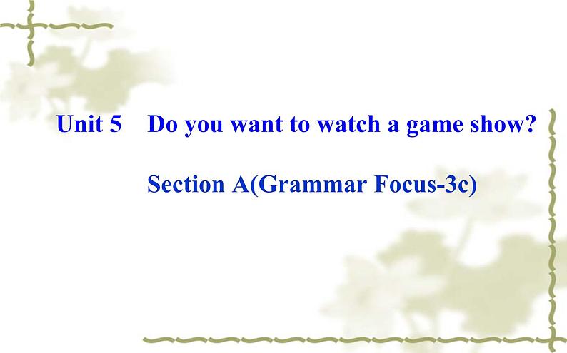 Unit_5：Do you want to watch a game show_Section A（Grammar Focus—3c）课件PPT第1页