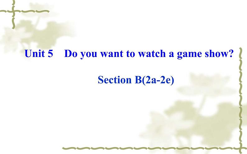 Unit_5：Do you want to watch a game show_Section B（2a—2e）课件PPT01