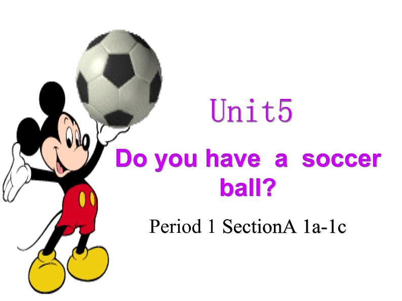 人教版七年级上册Unit 5  Do you have  a  soccer ball课件PPT01