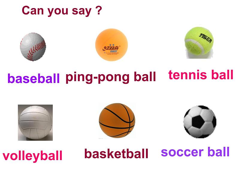 人教版七年级上册Unit 5  Do you have  a  soccer ball课件PPT03