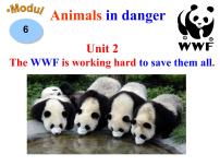 初中英语Unit 2 The WWF is working hard to save them all.多媒体教学课件ppt