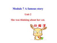 初中英语外研版 (新标准)八年级上册Unit 2 She was thinking about her cat.评课课件ppt