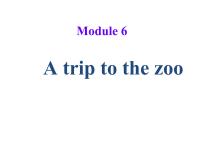 英语七年级上册Module 6 A trip to the zooUnit 2 The tiger lives in Asia.课文配套ppt课件