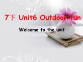 Unit 6 Welcome to the unit课件