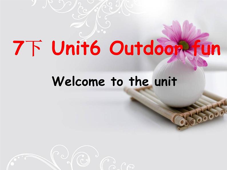 Unit 6 Welcome to the unit课件01