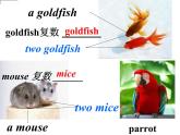 2020-2021学年牛津译林版英语七年级下册 Unit 8 Pets 课件PPT