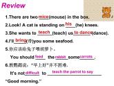 2020-2021学年 牛津译林英语七年级下册Unit8 Reading 1课件