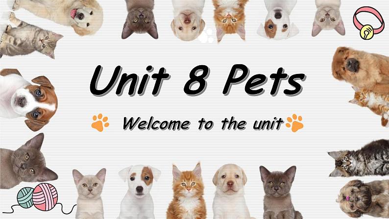 Unit 8 Pets Welcome to the unit & Comic strip 课件2020-2021学年牛津版七年级英语下册第1页