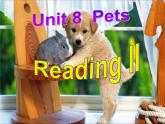 Unit8Reading II课件2021-2022学年牛津译林版英语七