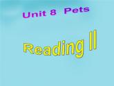 2020-2021学年 牛津译林英语七年级下册Unit8 Pets reading 课件PPT