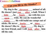 2020-2021学年 牛津译林英语七年级下册Unit8 Pets reading 课件PPT