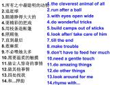 2020-2021学年 牛津译林英语七年级下册Unit8 Pets reading 课件PPT