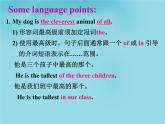 2020-2021学年 牛津译林英语七年级下册Unit8 Pets reading 课件PPT