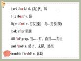 Unit8 Pets Reading 课件 2021-2022学年牛津译林版英