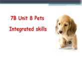 2020-2021学年牛津译林七年级英语下册Unit 8 Pets Integrated skills 课件