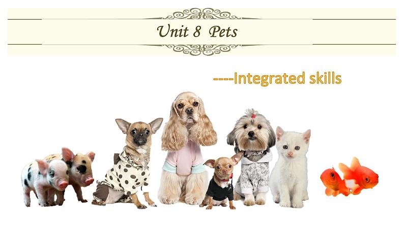 2020-2021学年牛津译林版英语七年级下册 Unit 8 Pets Integrated 课件PPT第1页