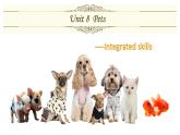 2020-2021学年牛津译林版英语七年级下册 Unit 8 Pets Integrated 课件PPT