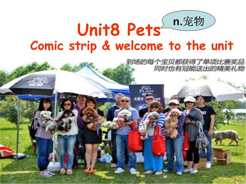 2020-2021学年牛津译林版英语七年级下册 Unit8 pets 课件PPT01