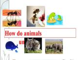 北师大版八下 unit 2 Communication / Lesson 4 Animal Talk课件PPT
