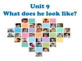 Unit9 What does he look like？SectionA(1a-2c)课件PPT