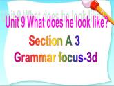 Unit9 What does he look like？SectionA(Grammar Focus-3d)课件PPT