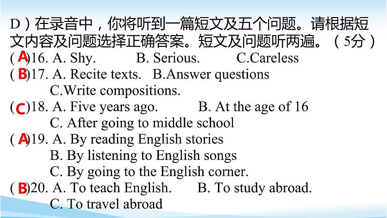 中考英语冲刺综合讲练第4页